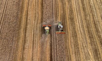 Why UK farmers may be left worse off by the budget