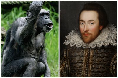 Study Finally Proves a Monkey Could Actually Type Out Shakespeare -- But It Would Take a Really, Really Long Time