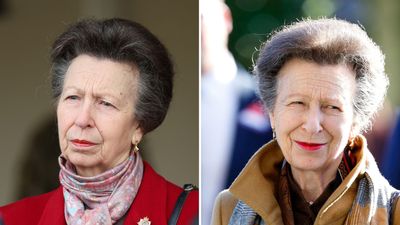 Princess Anne's dainty gold drop earrings are her go-to for adding a dash of dazzle to her day to day dressing