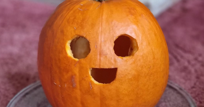 45 Spooky, Quirky, And Jaw-Droppingly Charming Pumpkin Carvings Shared By Folks Online