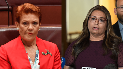 Pauline Hanson Racially Vilified Mehreen Faruqi With Appalling Tweet, Federal Court Rules