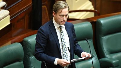 Greens MP 'never welcome back' after staffer affair