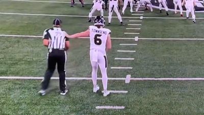 Texans' Tommy Townsend and Ref Push Each Other Away Before Punt