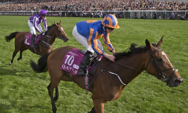 Running Found in Breeders’ Cup Classic would have been unfair – Aidan O’Brien