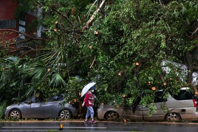 Taiwan Cleans Up After Typhoon Kong-rey Leaves Two Dead