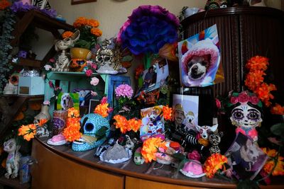 Pets join Mexico's Day of the Dead celebrations, as Fido and Tiger get their own altars