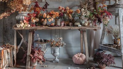 Handy Halloween decor storage ideas – 7 ways to secure spooky season essentials for next year