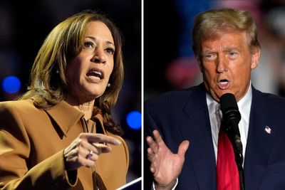 Harris may have big early voting lead despite Trump’s claims GOP is winning, polling suggests