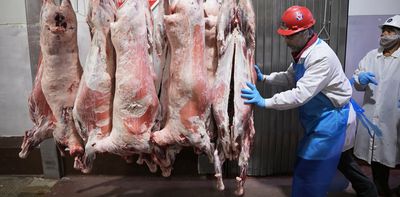 Denver slaughterhouse ban could affect food systems in Colorado and beyond