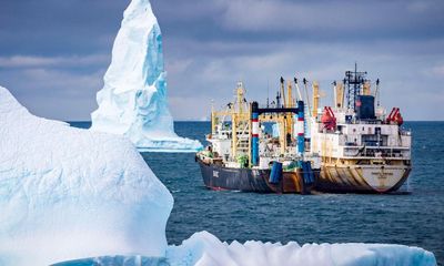 ‘Very bad precedent’: China and Russia team up to undermine krill fishing restrictions in Antarctica