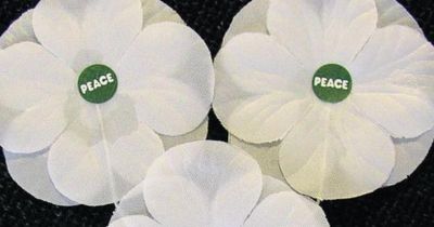 White poppies see spike in popularity 'due to war in Gaza', distributors say