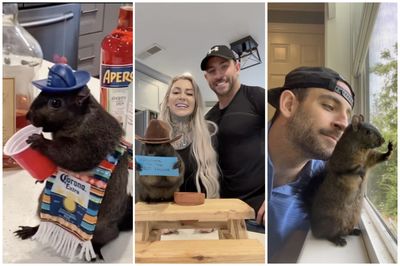 Owner of Influencer Squirrel Loses Pet, Lashes Out at Instagram Users Who Snitched to Cops: 'There's a Special Place in Hell for You'