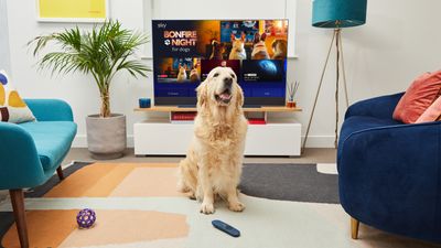 Is your dog scared of fireworks? Sky TV has the answer!