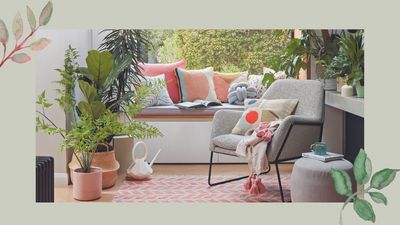 Experts reveal 5 plants that help combat condensation in any room