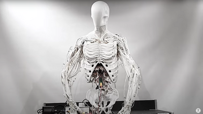 Watch this terrifying robotic torso spring into life