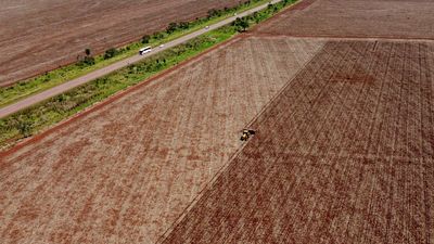 Brazilian state law overturns soy moratorium that helped curb Amazon deforestation