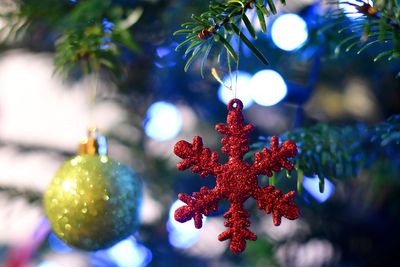 Covent Garden Christmas tree harvested in Solihull ahead of festive season