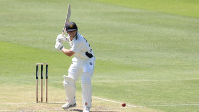 Cartwright catches lucky break as WA grind down Tassie