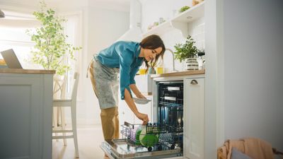 How often should you clean your dishwasher — experts reveal everything you need to know