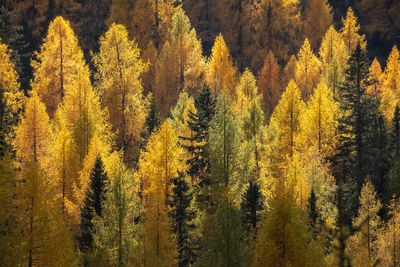 "The Dolomites are badass. The mountains are so spiky and aggressive, and to this day, I’ve photographed nothing like them." David Clapp shoots autumn in the Italian mountains