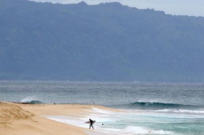 Surfer’s leg severed in horror shark attack on Hawaiian island of Maui