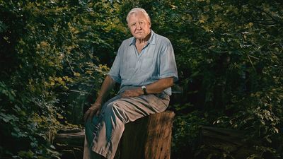 How to watch Asia online: stream the latest series from Sir David Attenborough from anywhere in the world