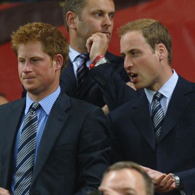 Revisiting Prince William's Last Working Trip to South Africa With Brother Prince Harry