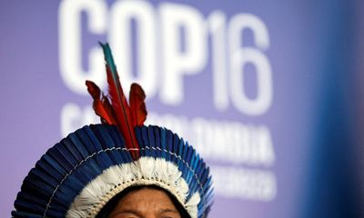 Cop16 ends in disarray and indecision despite biodiversity breakthroughs