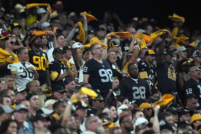 Steelers fans react to devastating trade target injury news