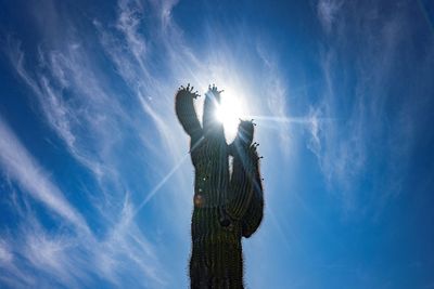 Phoenix's extreme heat is a warning