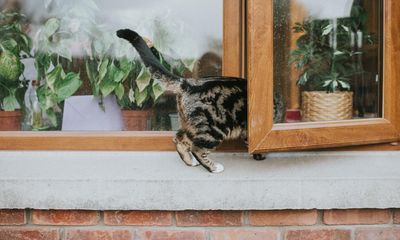 Why do windows in the UK open outwards?