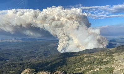 ‘Two sides of the same coin’: governments stress links between climate and nature collapse