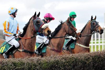 Racing Tips: Andrew Mount's Spreadex Analysis - Monday, November 4th - Sportscasting UK