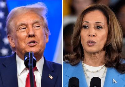 Early voting numbers ‘scary’ for Harris, warns former Obama campaign manager