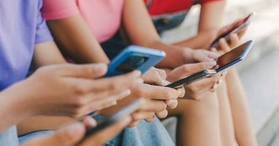 Furphy: Researchers say social media link to youth self-harm is weak