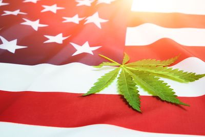 5 states to vote for weed & psychedelics