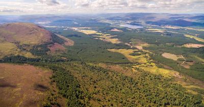 Scotland's natural assets worth £40 billion to economy, research shows