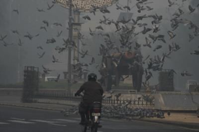 Pakistan Seeks Cross-Border Collaboration With India On Air Pollution