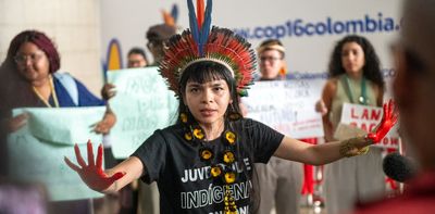 Cop16: the world’s largest meeting to save nature has ended with no clear path ahead