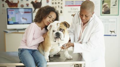 How to Find Your Pet Insurance Sweet Spot: A Financial Planner's Perspective