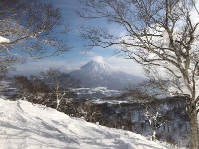 Niseko: experience the magic of skiing in Japan