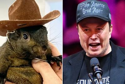 Why is Elon Musk obsessed with a euthanized pet squirrel?