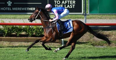 A Flemington favourite, Melbourne Cup aspirant and Big Dance trifecta