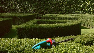 I've tested dozens of hedge trimmers, and know how to buy the very best – this is my expert advice