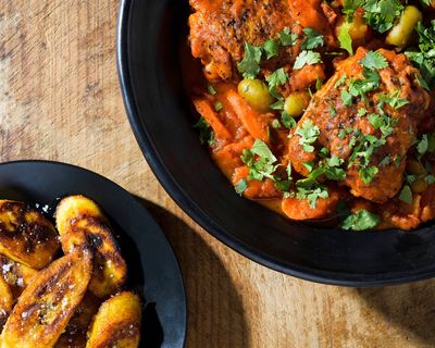 Tomato-forward chicken fricase is warm and hearty