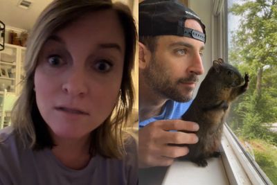 'Most Hated Girl on the Internet' Gets Death Threats After Being Falsely Accused of Snitching on Instagram-Famous Squirrel: 'It Wasn't Me'