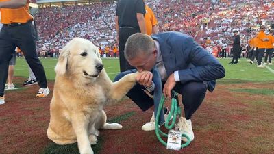 Kirk Herbstreit Gives Concerning Health Update on His Beloved Dog Ben