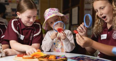Kindy transition program taking first day jitters out of the equation