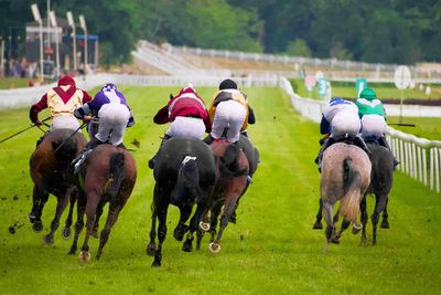 Racing Tips: Andrew Mount's Spreadex Analysis - Tuesday, November 5th - Sportscasting UK