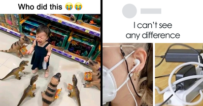 50 Random Memes That Have No Business Being This Funny